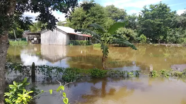 La decisión fue tomada al considerar que los predios eran inhabitables por el momento Foto: Abraham Couó