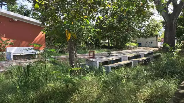 La maleza creció e invadió los espacios de recreación, donde los niños solían jugar