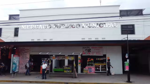 Desde que se inauguró en 2008, nunca se ha impermeabilizado el techo, lo que hoy ocasiona que se filtre el agua