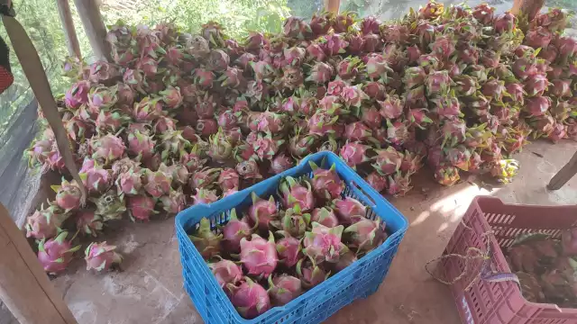 Una compañía dedicada a la elaboración de helados y jugos está en proceso de instalación