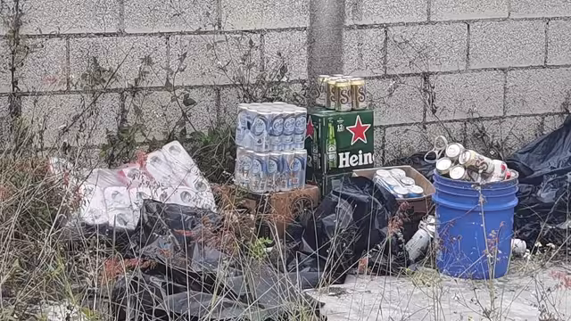 Fotos: José Pacheco