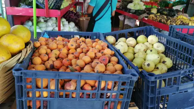 Foto: Irene Barradas