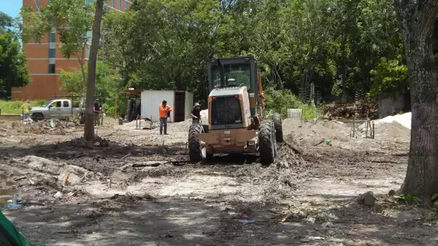 Campeche es el estado con más puntos de deforestación reportados por la Conafor de 2001 a 2018