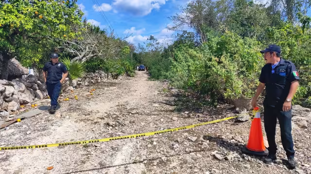 El hombre murió de forma instantánea tras caerle una enorme rama en la cabeza