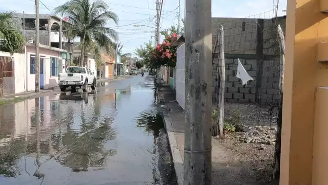 Foto: Agustín Ferrer