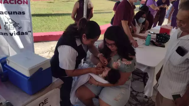  La tosferina, causada por la bacteria Bordetella pertussis, es una infección respiratoria altamente contagiosa