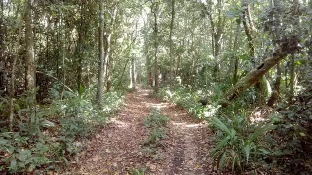 La pista estaba en lo que ahora es la calle Cecilio Chi, entre Chilam Balam y Gonzalo Guerrero; se usó casi 10 años y abandonó después del paso del Huracán Gilda