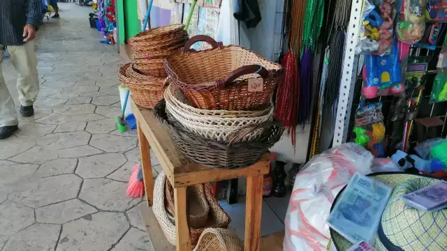 Foto: Irene Barradas