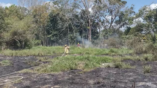 El fuego se extendió por gran parte del terreno baldío