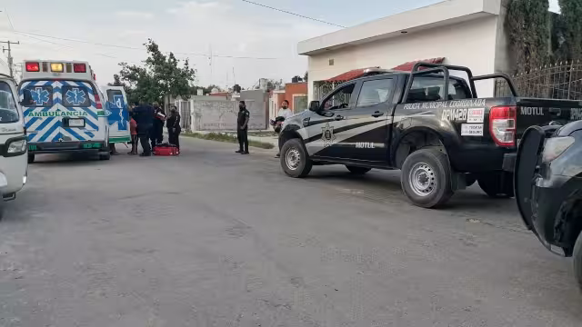 La llanta delantera de la unidad pasó encima del perro