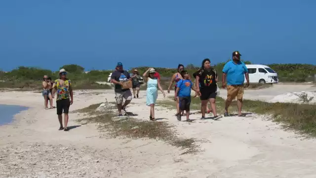 Se desconoce el proceso que realizará la Comisión Nacional de Áreas Naturales Protegidas ante el daño ambiental en Río Lagartos