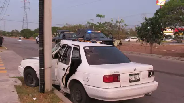 Un tsuru terminó golpeando contra un poste eléctrico