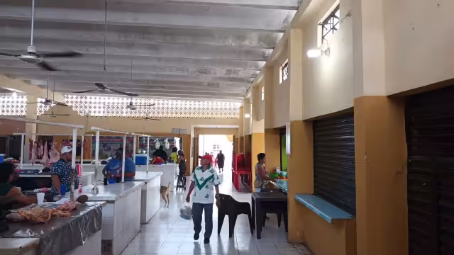 Comerciantes aseguran que el Alcalde de Dzidzantún no se ha preocupado por impermeabilizar el mercado