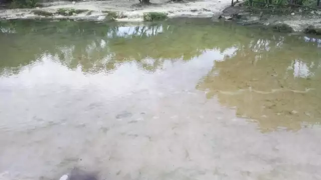 Las autoridades no han acudido a realizar pruebas en el cenote.