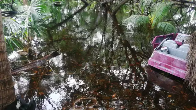 FOTOS:  Irene Barradas