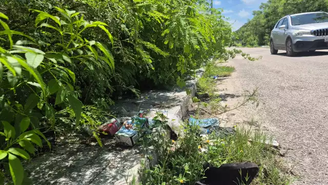 Camino entre basura y maleza: vecinos exigen acción inmediata