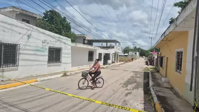 Ataque de abejas en la colonia Puente Viejo moviliza a Protección Civil en Champotón