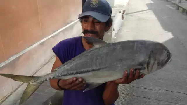 Foto: Irene Barradas