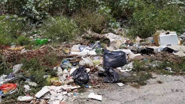 Personal de obras públicas tiene la obligación de realizar la limpieza de parque y jardines