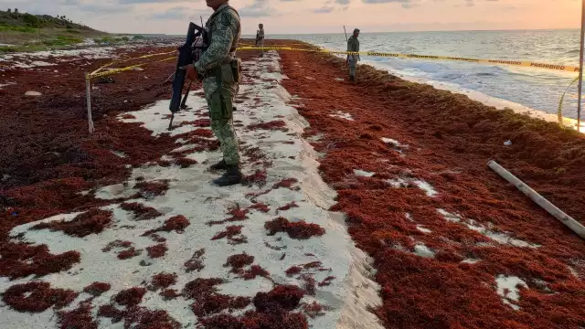 Con este aseguramiento suman 62 kilos de coca en lo que va del año