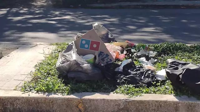 Al día se genera un promedio de 70 a 90 toneladas de basura, en por lo menos 15 colonias de la ciudad