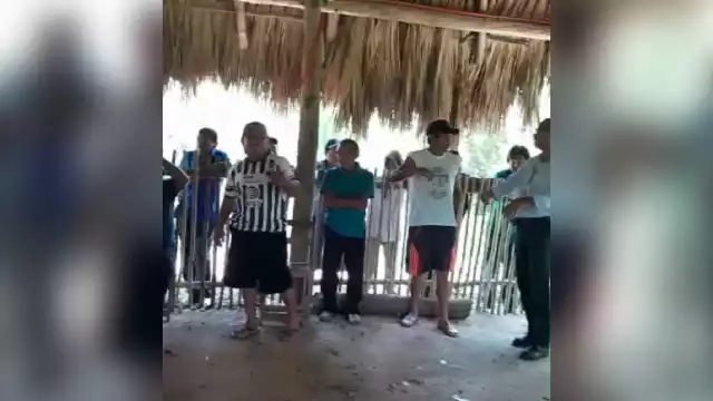 Los ejidararios de Dzoyolá indicaron que el monto ofrecido por las compañías por tonelada de carbono obtenido es bajo para ellos