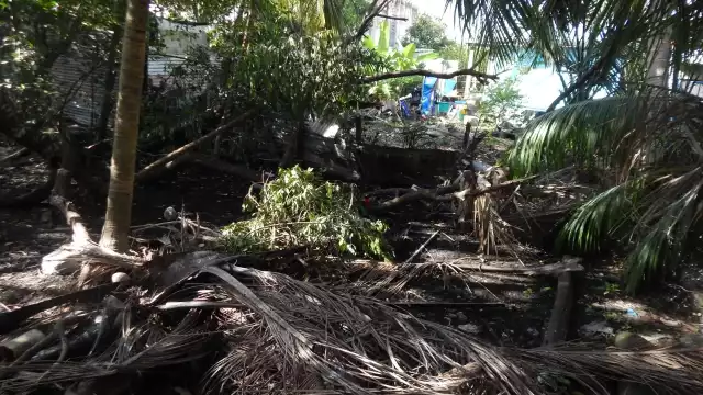 Foto: Irene Barradas