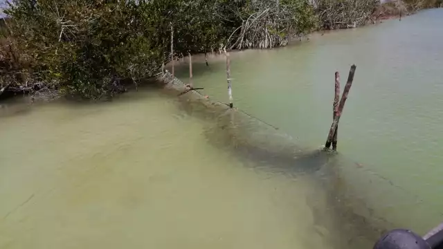 La red fue removida de inmediato del lugar y asegurada