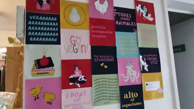 Se han contabilizado 102 negocios veganos en Playa del Carmen