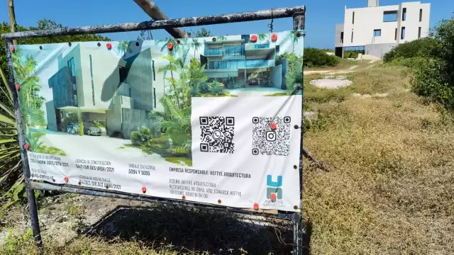 Para los promotores del proyecto adueñarse de este paraíso en la costa significó deshacerse de la fauna local y matar la flora endémica