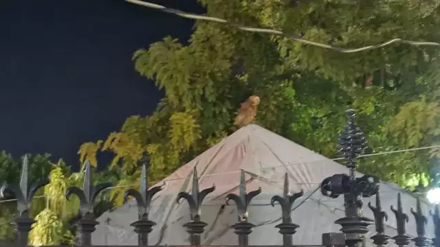 Foto: Ricardo Jiménez