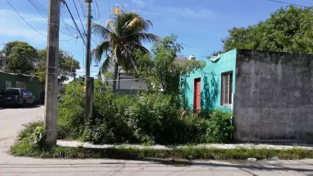 Foto: Irene Barradas