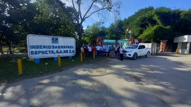 De esta actividad agrícola en Quintana Roo, dependen  tres mil 350 productores y de forma indirecta 10 mil familias