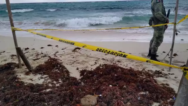 En lo que va del año, es el primer recale de droga que se registra