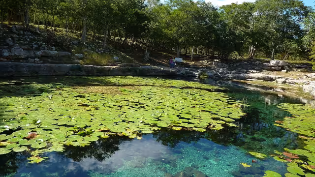 Los cenotes son bien conocidos por ser la entrada al inframundo maya, Xibalbá