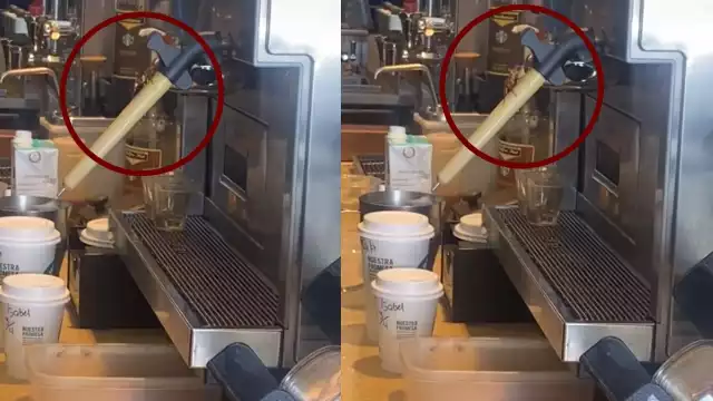 La grabación muestra cómo una cucaracha es retirada de la máquina de café luego de haberse brevemente subido a ella en un Srabucks