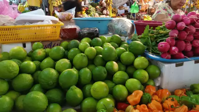 El precio del limón persa bajó bastante en mercados de Yucatán