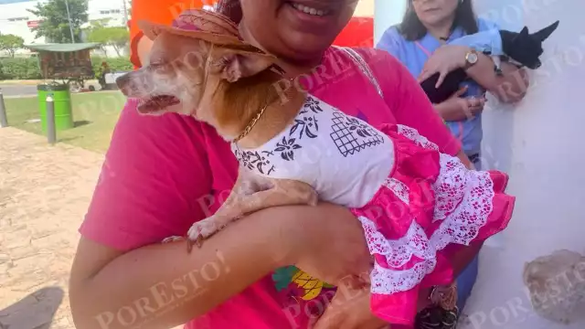 Campechanos llenan la Iglesia de San Francisco para la tradicional bendición de mascotas