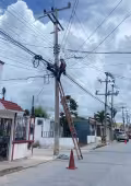 Las cuadrillas efectuarán trabajos de mantenimiento en las líneas eléctricas para mejorar la calidad y continuidad del suministro en la región