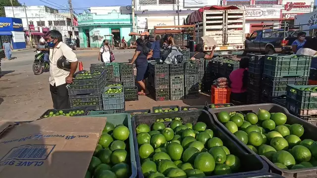 Una de las causas de la baja es que los compradores de exportación no están adquiriendo la cosecha
