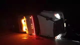 Muchos de los ejemplares fallecieron aplastados por sus propios compañeros