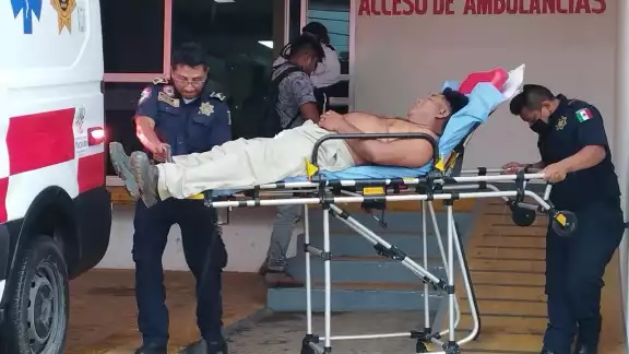 El electricista fue atacado por un enjambre de abejas cuando laboraba en un poste El electricista fue atacado por un enjambre de abejas cuando laboraba en un poste