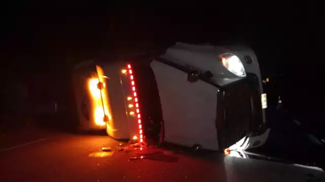 Muchos de los ejemplares fallecieron aplastados por sus propios compañeros