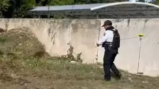 Reportan hallazgo de restos óseos en la comunidad de Lerma en el municipio de Campeche