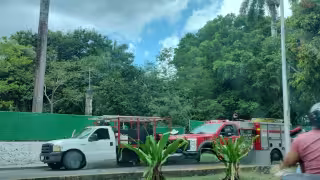 Abejas atacaron a personas en un estacionamiento del  IMSS Cozumel