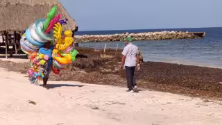Playas de Campeche, aptas y seguras para bañistas en temporada vacacional