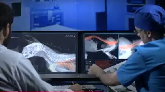 La FGE advierte que este tipo de conductas puede traspasar hacia personas vulnerables