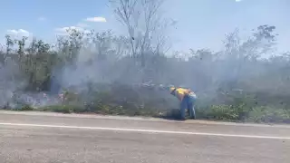 El fuego se extendió por la maleza seca