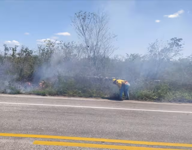 El fuego se extendió por la maleza seca