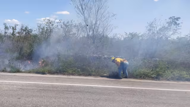 El fuego se extendió por la maleza seca